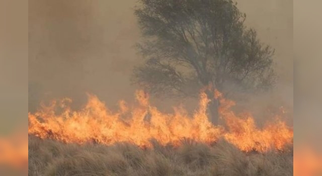 Incendio forestal: controlan el fuego en la zona de Ongamira y Capilla del Monte