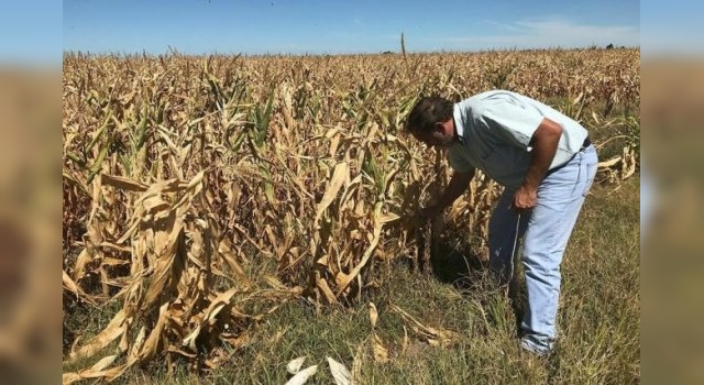 Sequía: la Nación declara la emergencia en 21 departamentos de Córdoba