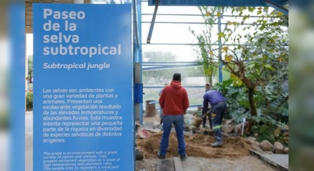 Ponen en valor la única selva subtropical que hay en la ciudad de Córdoba