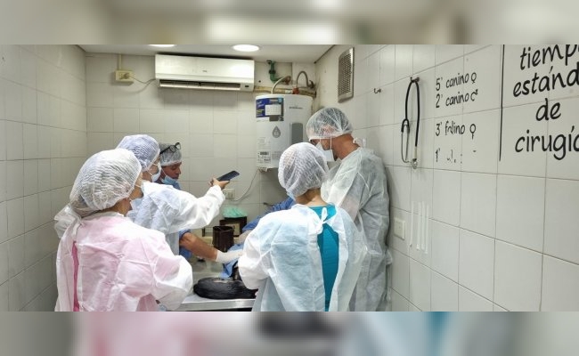 Veterinarios de Morteros se capacitaron sobre castraciones en Buenos Aires