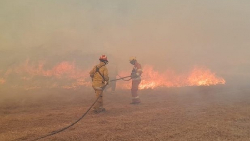 Estado de desastre y 12.000 hectáreas perdidas: Incendios fuera de control en Córdoba