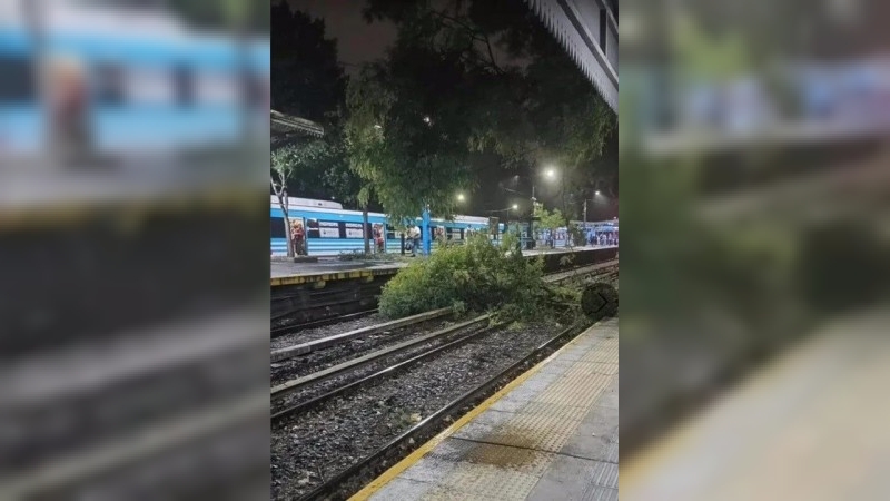 Temporal en el AMBA: usuarios sin luz, voladuras de techos y árboles caídos