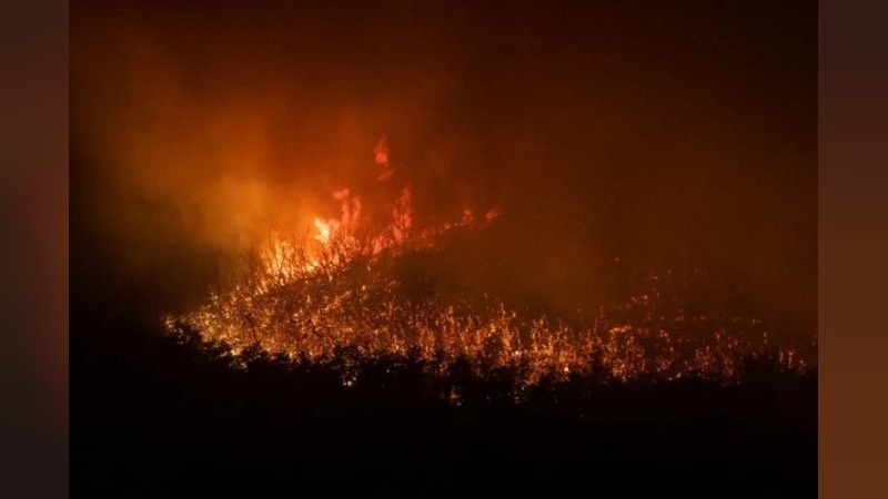 Severo incendio se desató en la zona del Mercado de Abasto de Córdoba