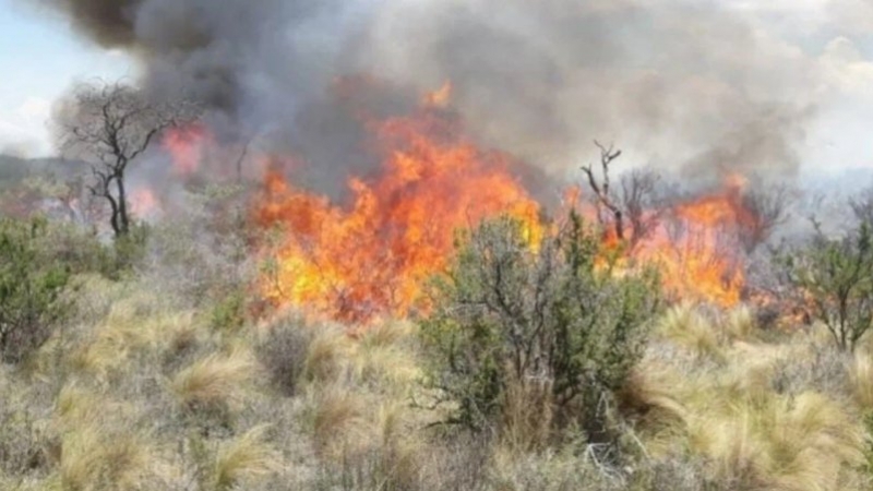 Córdoba: en día complicado, se mantiene activo el incendio en Guasapampa