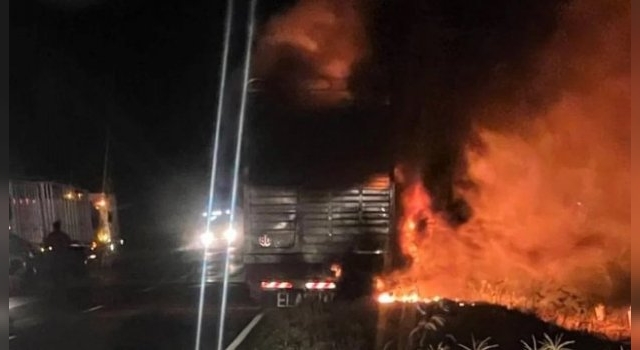 Un camión que trasladaba vacas se incendió y varios animales murieron quemados