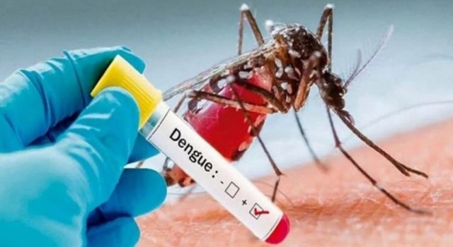 Ya son 125 los casos de dengue en la provincia