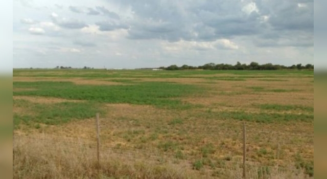 Por la sequía, se declaró la emergencia agropecuaria en la provincia de Córdoba