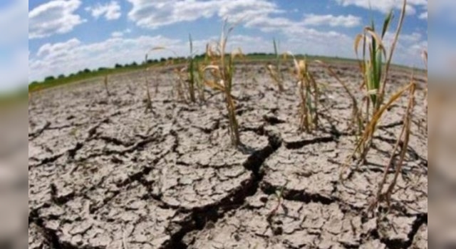 Por la sequía, declaran la emergencia agropecuaria en la provincia de Mendoza