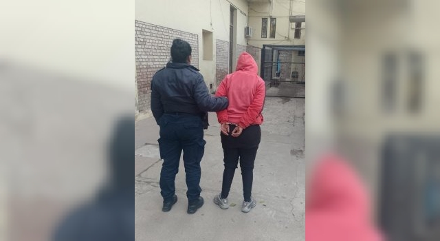 Tras un allanamiento, detuvieron a una mujer por robo