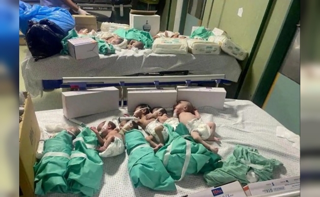 Encontraron a siete  bebés prematuros muertos en un hospital de Gaza bloqueado por Israel
