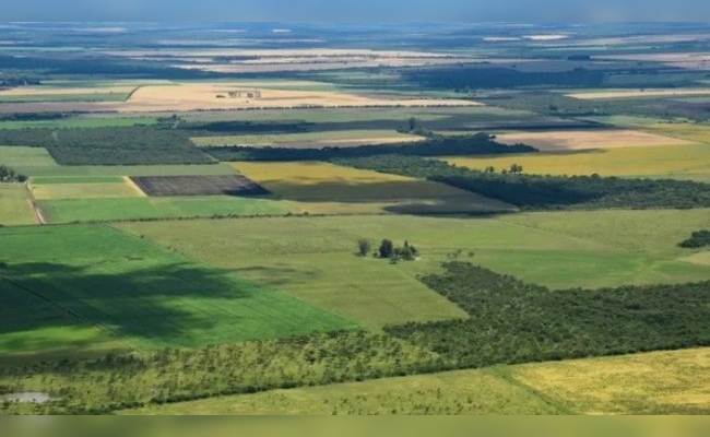 Habilitaron la feria judicial contra el DNU que libera la venta de tierras a extranjeros