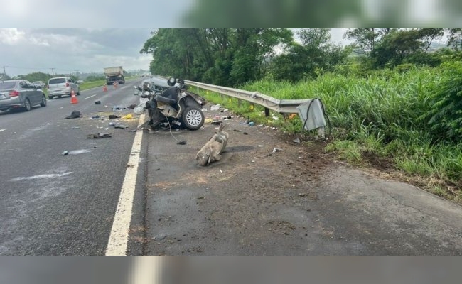 Vacaciones trágicas: una joven argentina de 22 años murió en una ruta del sur de Brasil