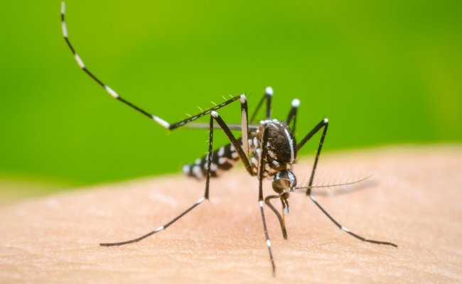 Un adolescente correntino de 14 años murió a causa del dengue