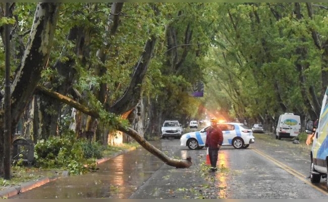 El temporal azotó a Colonia Caroya y derrumbó parte de una histórica bodega