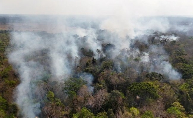 Voraces incendios en el norte de la Amazonia logran un récord lamentable