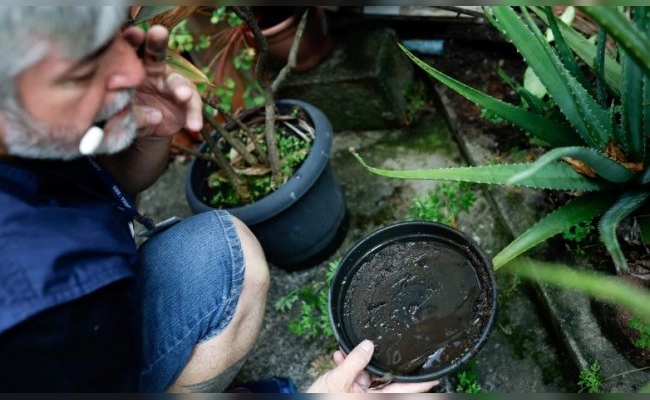 Aumentaron los brotes de dengue en Brasil por falta de vacunas