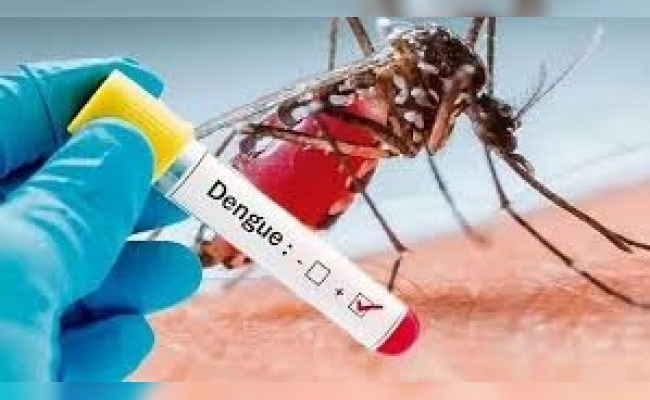 Por el brote histórico de dengue se reúnen todos los ministros de Salud del país