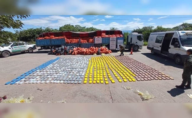 Incautaron 861 kilos de cocaína que iban a Córdoba oculta en zapallos