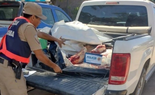 Córdoba: decomisan 160 kilos de carne vacuna faenada de manera ilegal