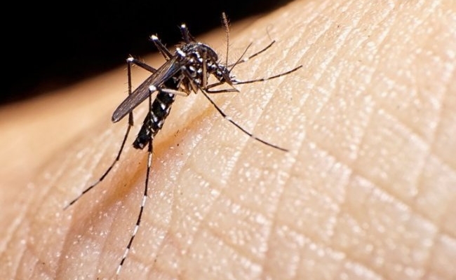 Córdoba: se confirmaron 8.629 casos de dengue y 10 nuevas muertes en la última semana