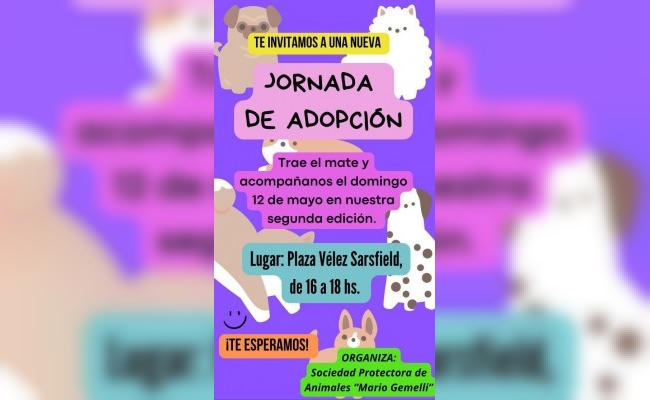 Jornada de adopción de canes