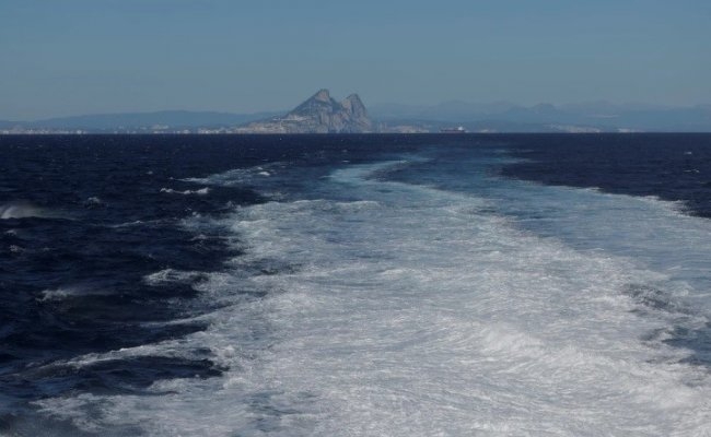 Orcas hundieron un velero en el estrecho de Gibraltar