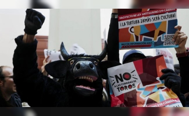 El Congreso de Colombia prohibió las corridas de toros