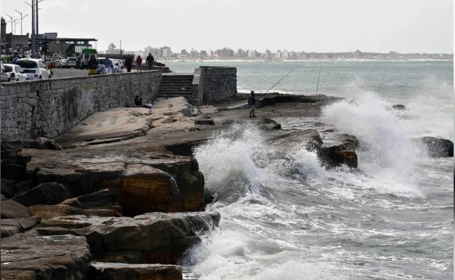 Femicidio en Mar del Plata: una mujer fue asesinada y arrojada al mar