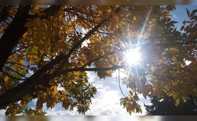 Sube la temperatura en Córdoba y el otoño está de regreso