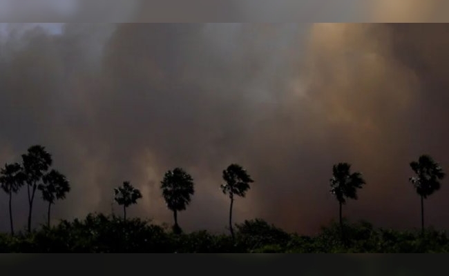 Incendios en los humedales de Brasil alcanzaron niveles récord