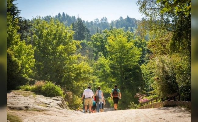 El fin de semana largo tuvo un 65% menos de turistas y cayó un 80% el gasto