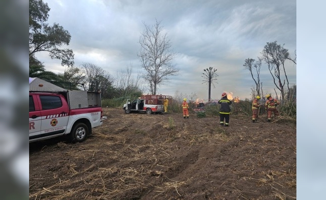 Miramar: Investigan incendio de fauna nativa