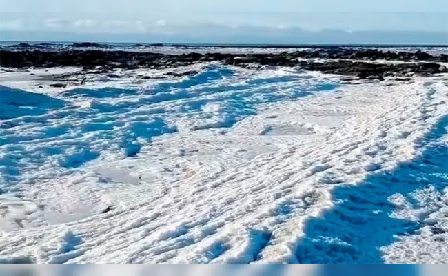 Frío extremo: se congeló el mar en Tierra del Fuego