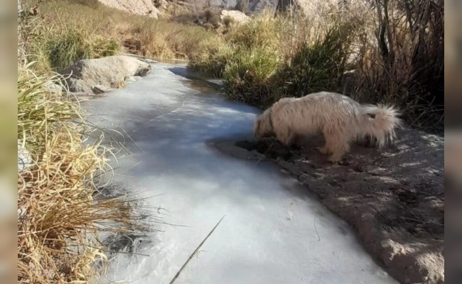 Invierno extremo en Salta: por temperaturas de -12° se congelaron ríos y arroyos