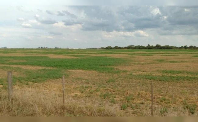 El campo en alerta ante la llegada de La Niña