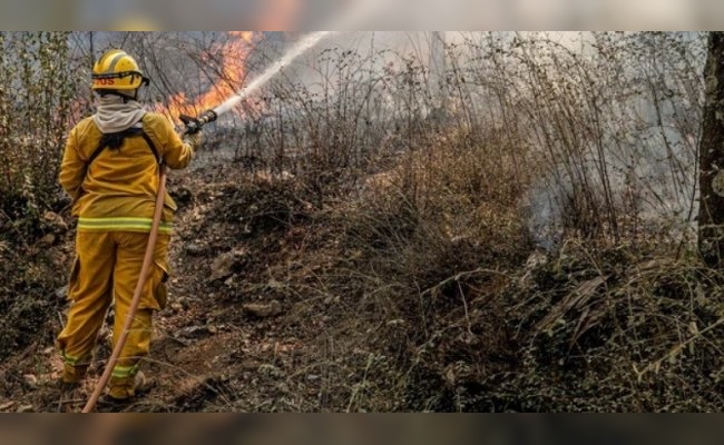 Preocupación en Córdoba: el fuego ya consumió unas 3.500 hectáreas en el cerro Champaquí