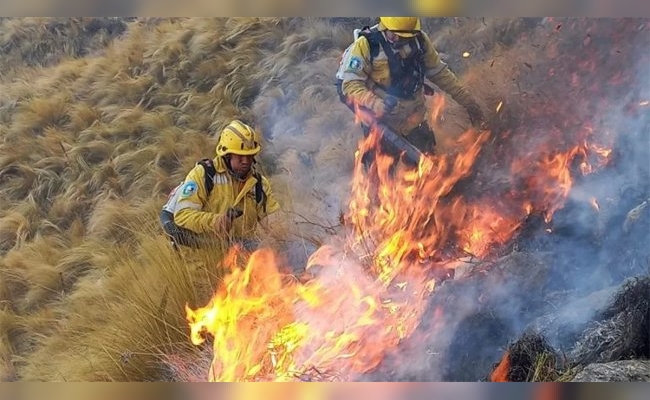 Más de 300 bomberos combaten el fuego en el Champaquí: hay 5.500 hectáreas afectadas