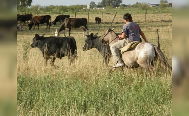 Los trabajadores rurales tendrán una mejora salarial del 7%