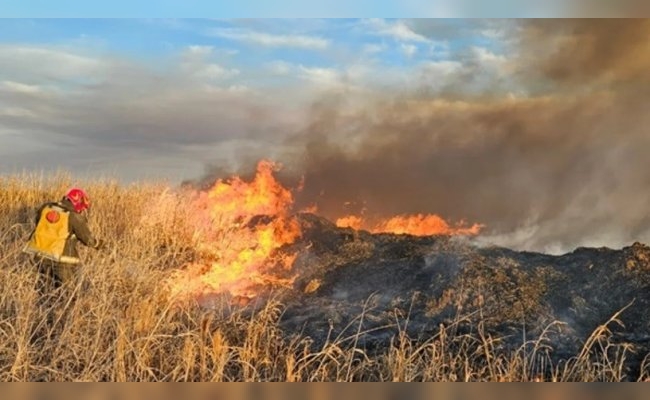 Bomberos combaten un incendio a metros de Circunvalación