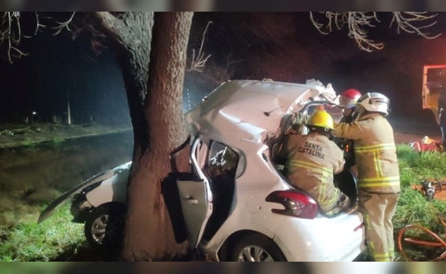 Chocó contra un árbol y salvó su vida de milagro: una mujer tuvo que ser hospitalizada 