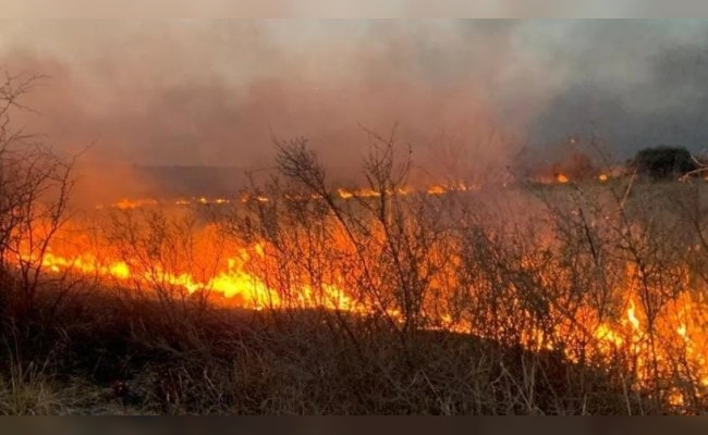 Lunes con 16 incendios y viviendas quemadas: hay tres focos activos en Córdoba