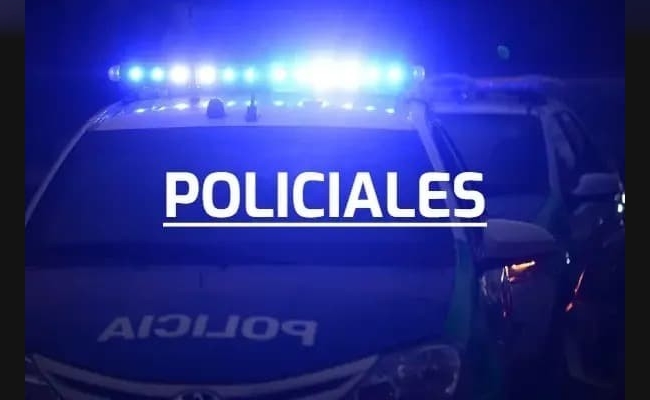 En un carro llevaban de todo: no pudieron  justificar su procedencia