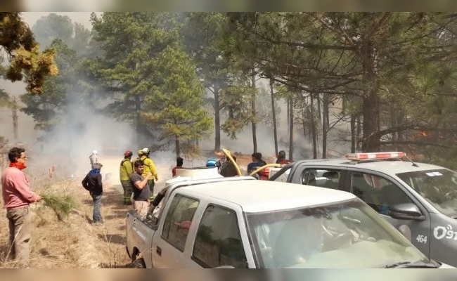 Detuvieron a un hombre de 72 años, por el incendio forestal en Calamuchita