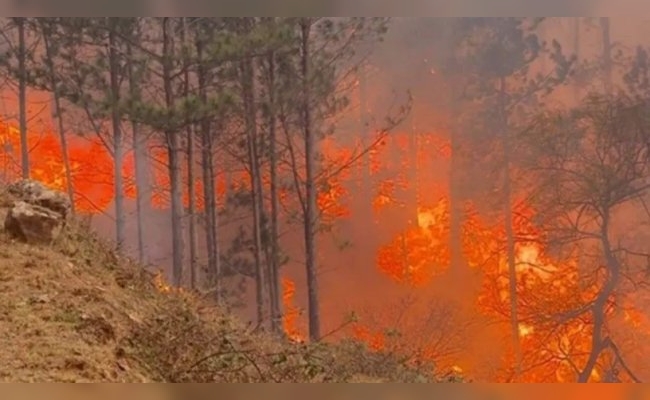 Incendios en Córdoba: bomberos lograron contener los focos en El Durazno