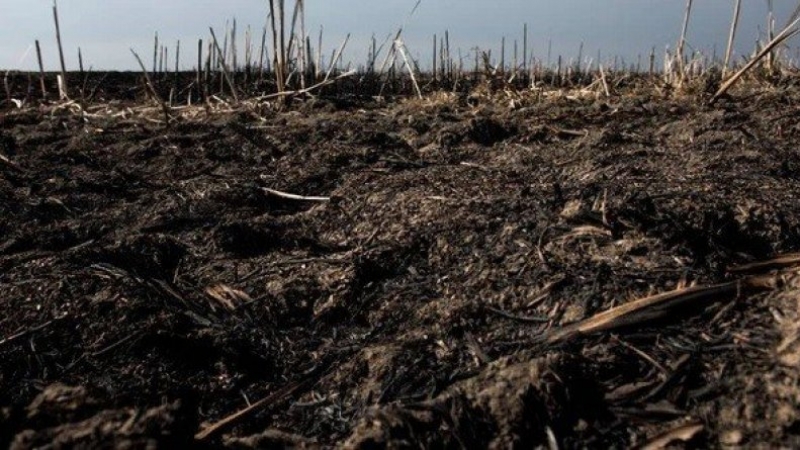 Alivio en Córdoba: no se registran incendios en la Provincia