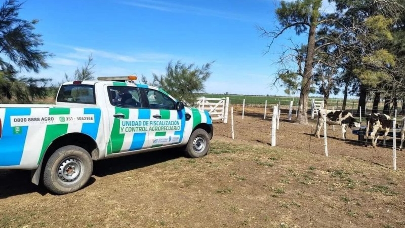 Tras denuncias por mortandad de abejas inspeccionaron apiarios en Morteros y zona rural