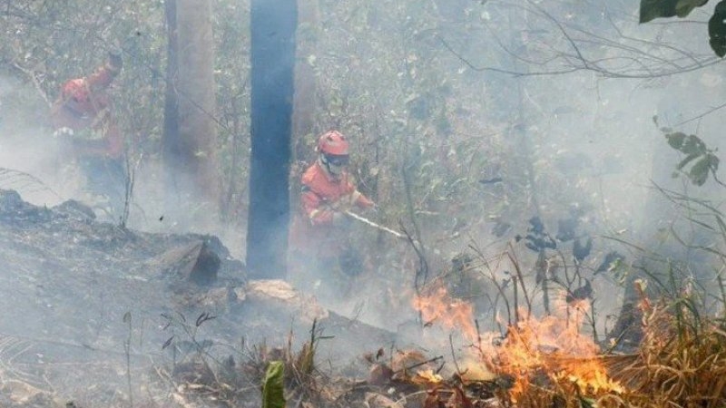 Supremo Tribunal de Brasil autoriza presupuesto extra para combatir incendios