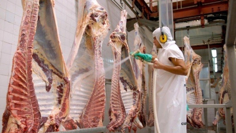 Mercados de carne vacuna: las exportaciones crecieron un 23% en agosto