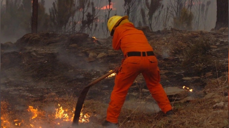 Anunciaron un proyecto para restaurar los daños ocasionados por el fuego en Córdoba