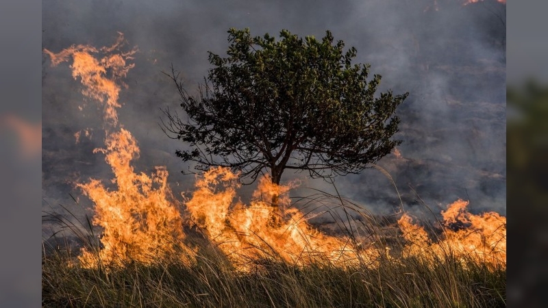 Temor en Córdoba: creen de un posible reinicio de focos de incendio